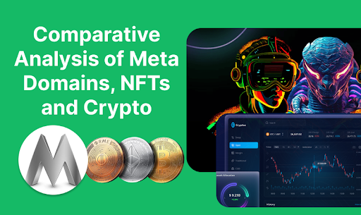 Comparative Analysis of Meta Domains, NFTs and Crypto